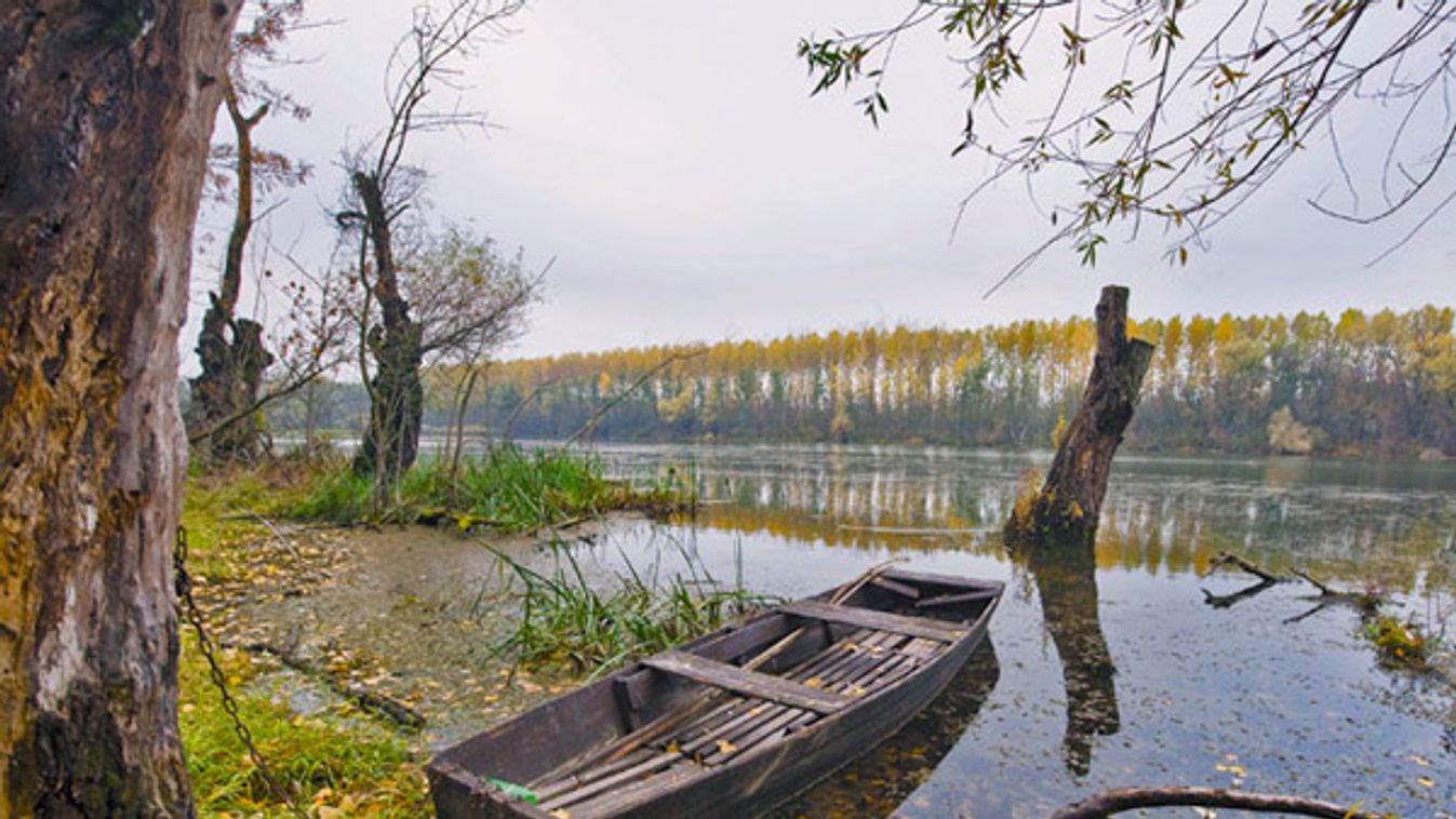 Nagy bajban lesznek a magyar vizek