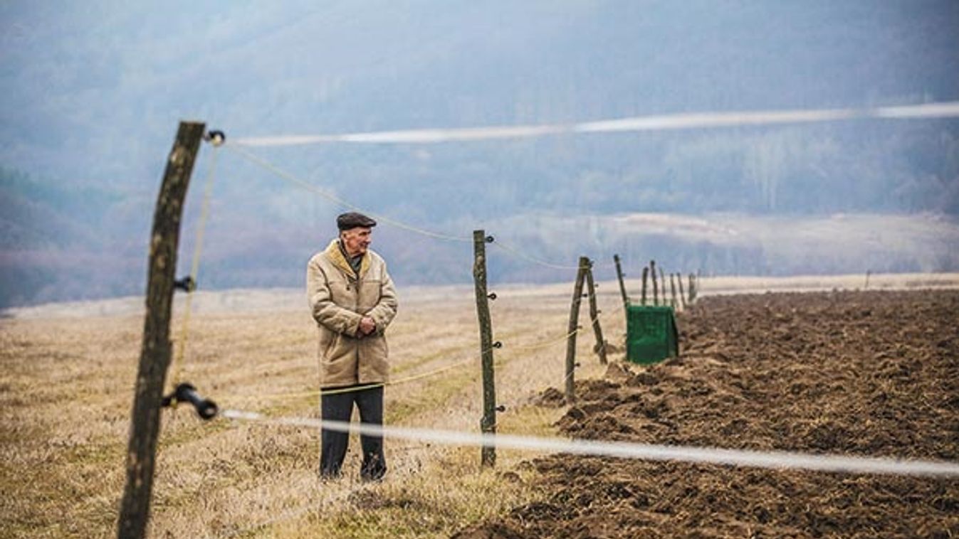 Kivégzik a zemplénieket?