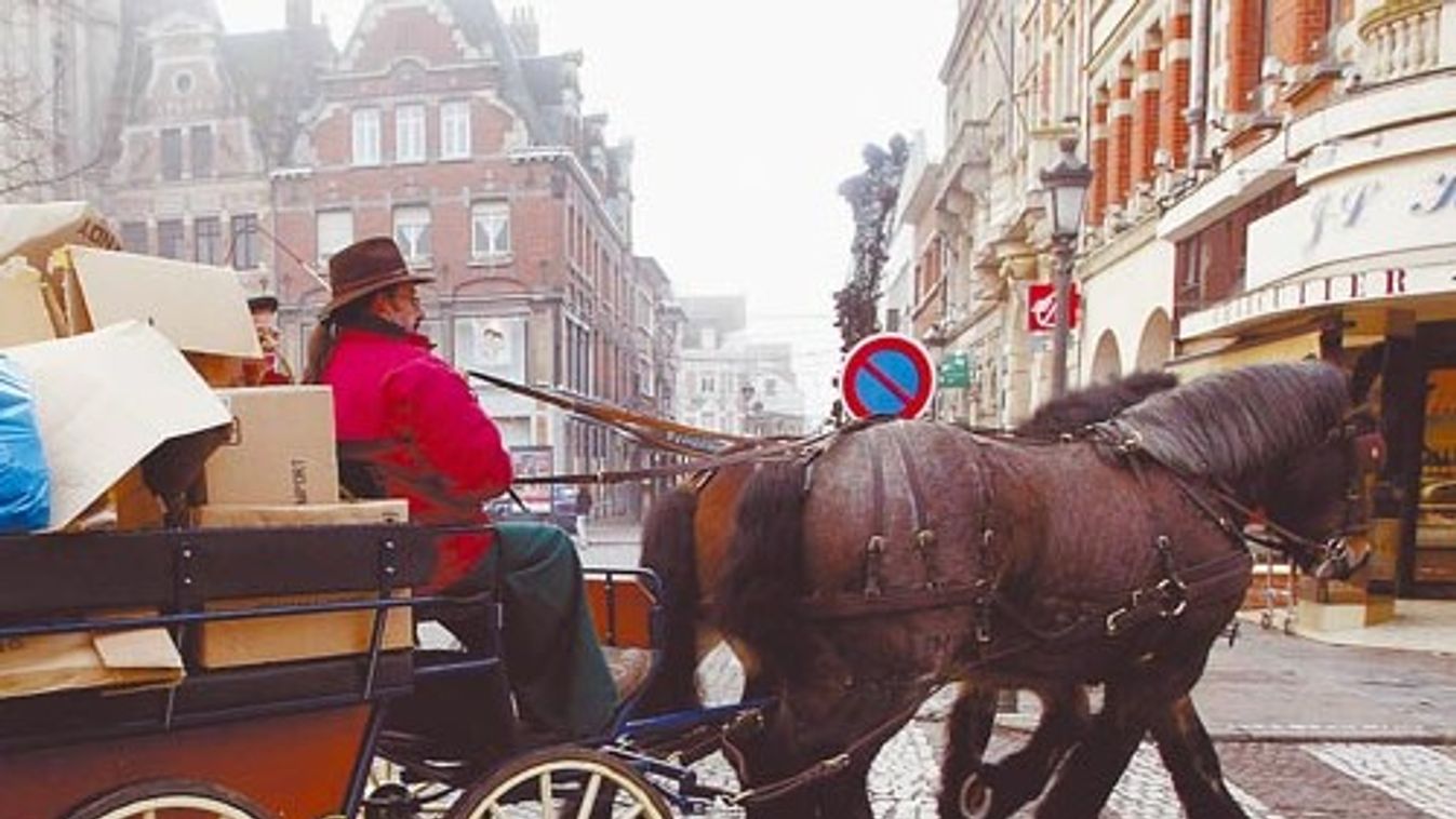 ENVIRONNEMENT CHEVAUX