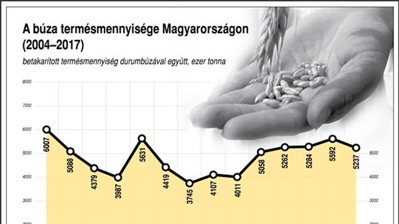 Egyre csak drágul a gabona