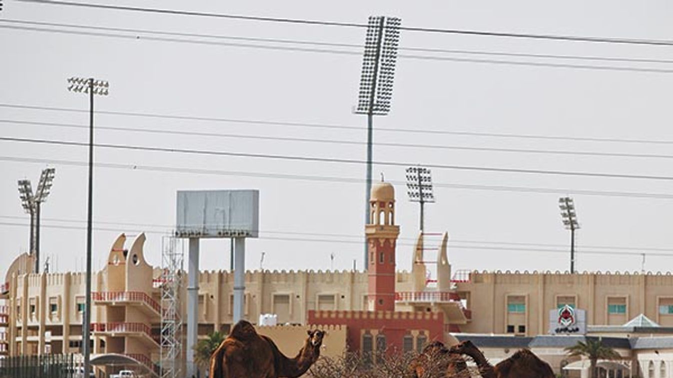 Qatar - Soccer World Cup - Construction and Preparations