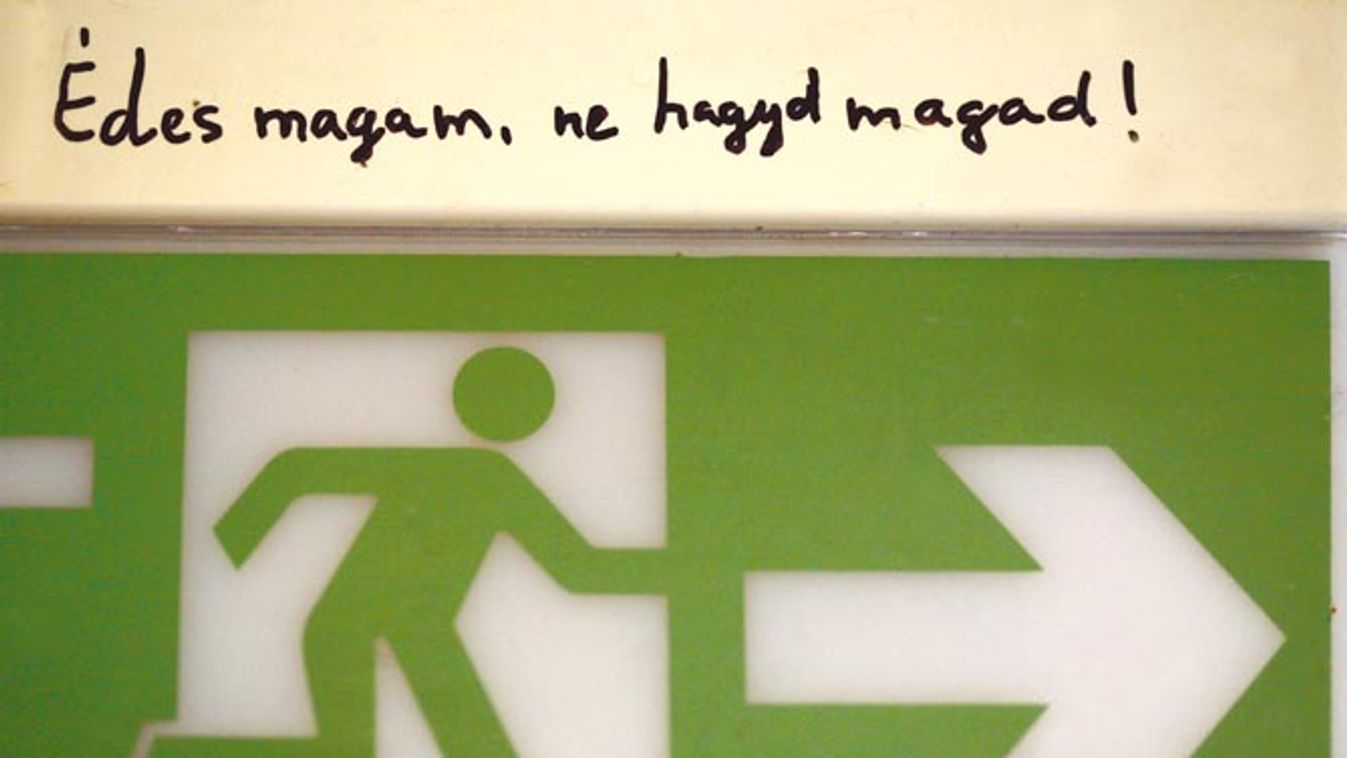 Kizárt a sárga ház