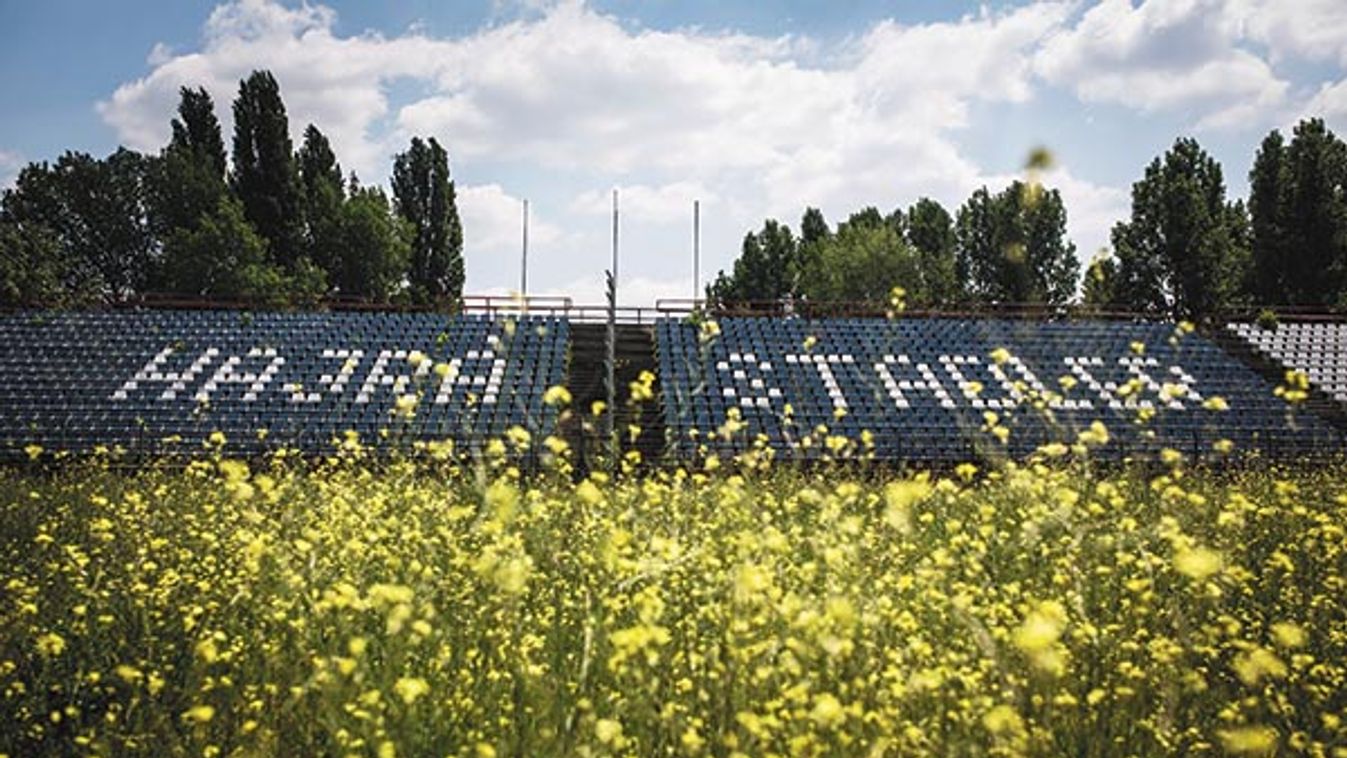 Hajrá, stadion! Ráfér a biztatás a pusztuló, hajdan európai szintű arénára