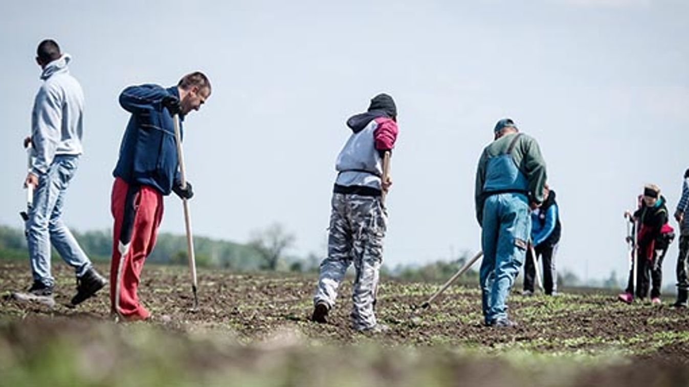 Október végéig kell leadni a napszámos terveket