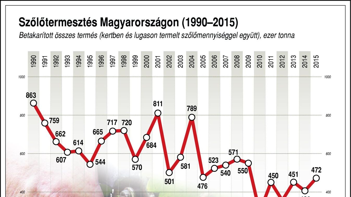 3 millió hektó bor kerülhet a pincékbe