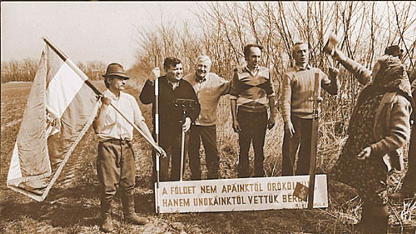 Gazdátlan több százezer hektár értékes föld