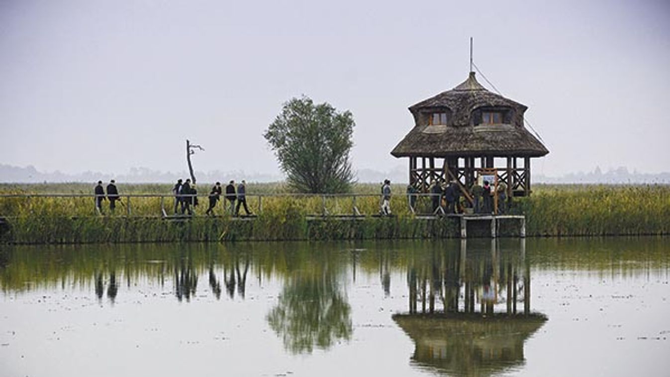 &apos;Feltámadtak&apos; az Egyek-Pusztakocsi mocsarak: vonuló madarak és turisták köszönik