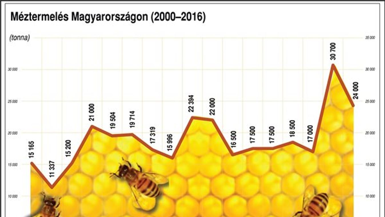 Az önporzó napraforgó betesz a magyar méznek?