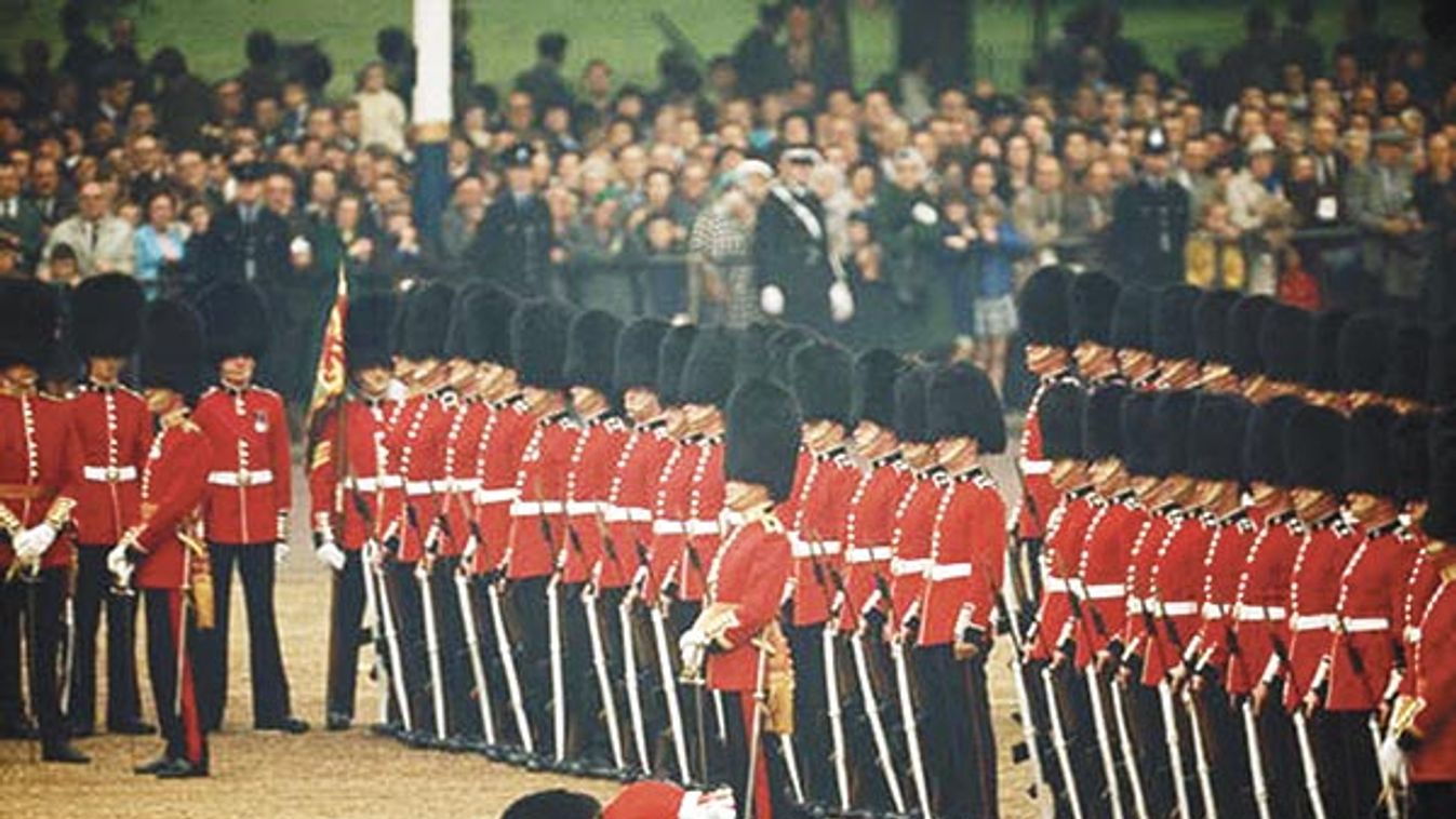 Irish Guards remain at attention after one guardsman faints