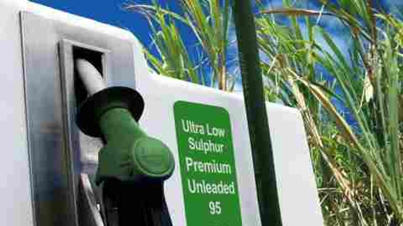 Ötvenmilliárdból épül bioetanol-üzem Mohácson