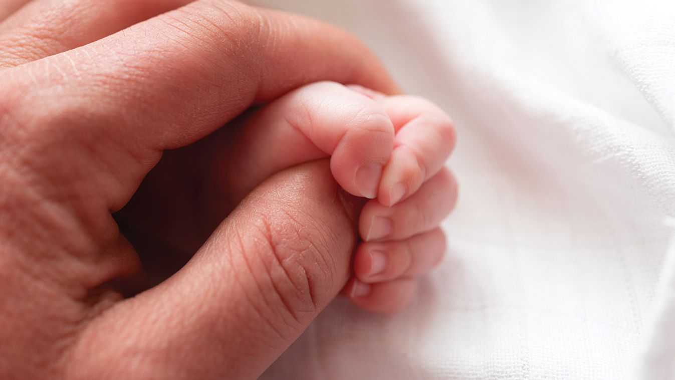 Closeup,Of,A,Baby's,Hand,Holding,Father's,Finger,Against,White