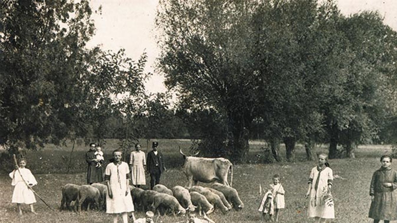 Dunapataj, 1920-as évek: A fotón tíz gyerek látható a tizenhétből