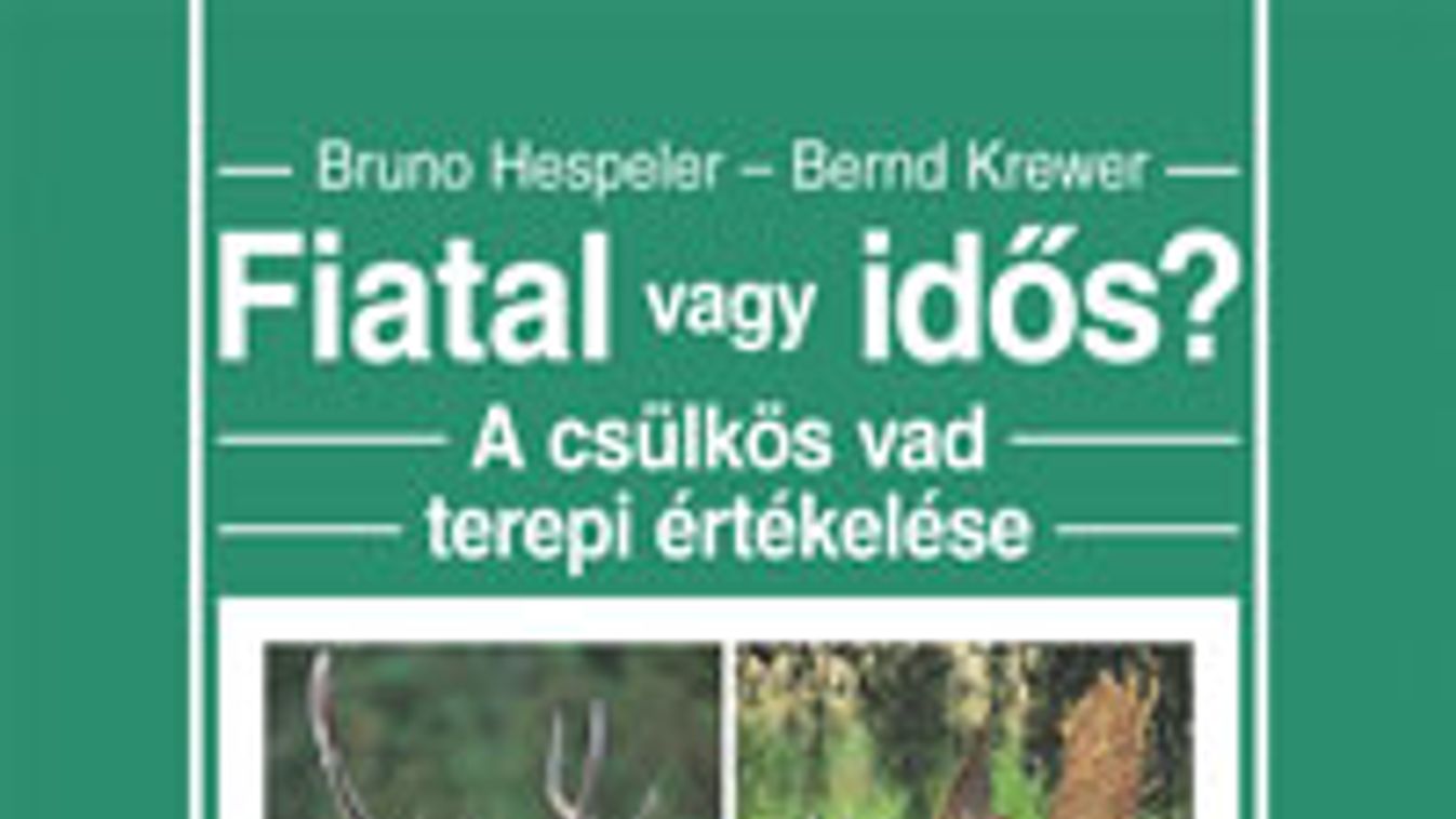 Bruno Hespeler – Bernd Krewer