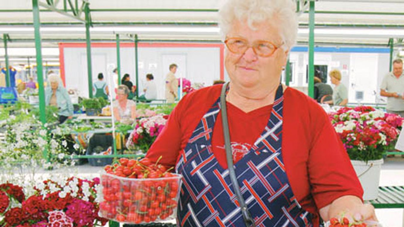 Tesztelik a piacolókat Miskolcon