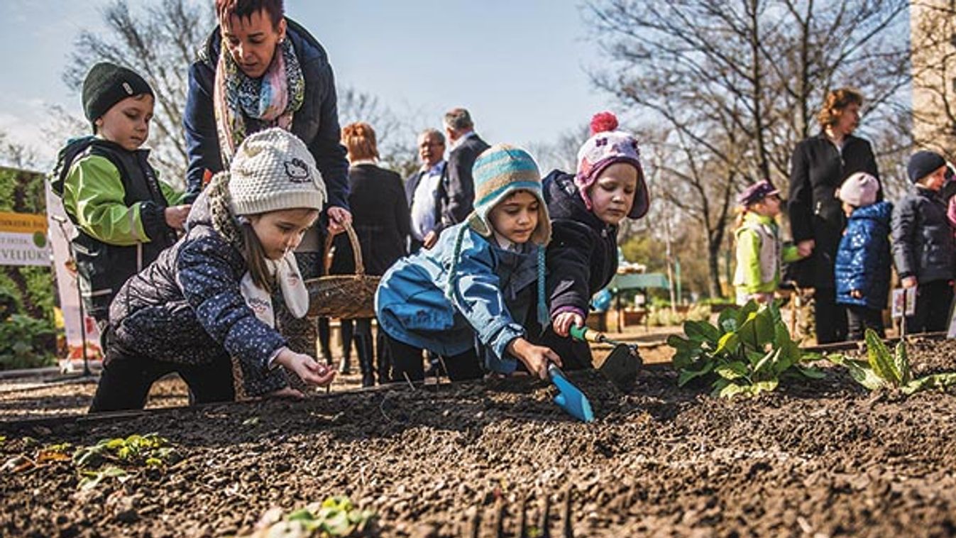 Kertészkedés Éve: veteményeztek Budapest XVIII. kerületében