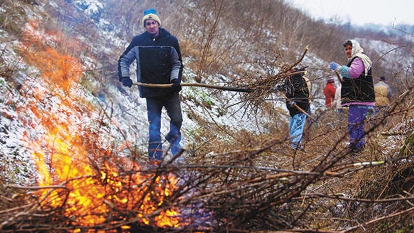 Az örvendetes hír sem fedi el a dolgozói szegénységet - Füstbe ment vágyak