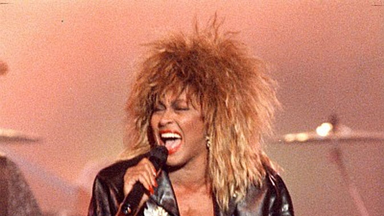 Tina Turner 1985