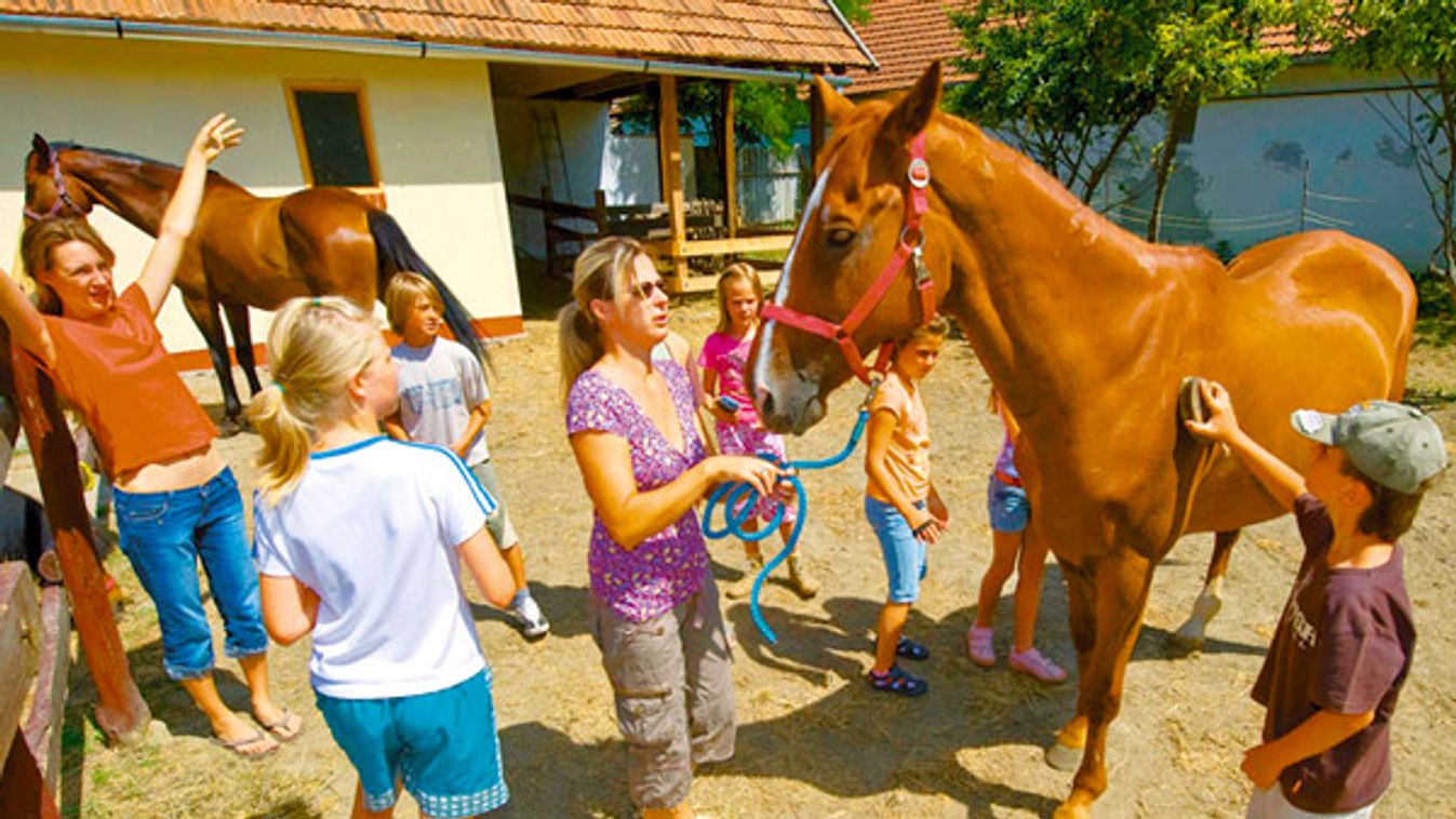 Ahol sikertörténet a falusi turizmus