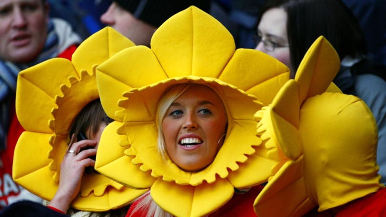 A Wales fan smiles during their Six Nations rugby union match against Scotland at Murrayfield Stadium in Edinburgh