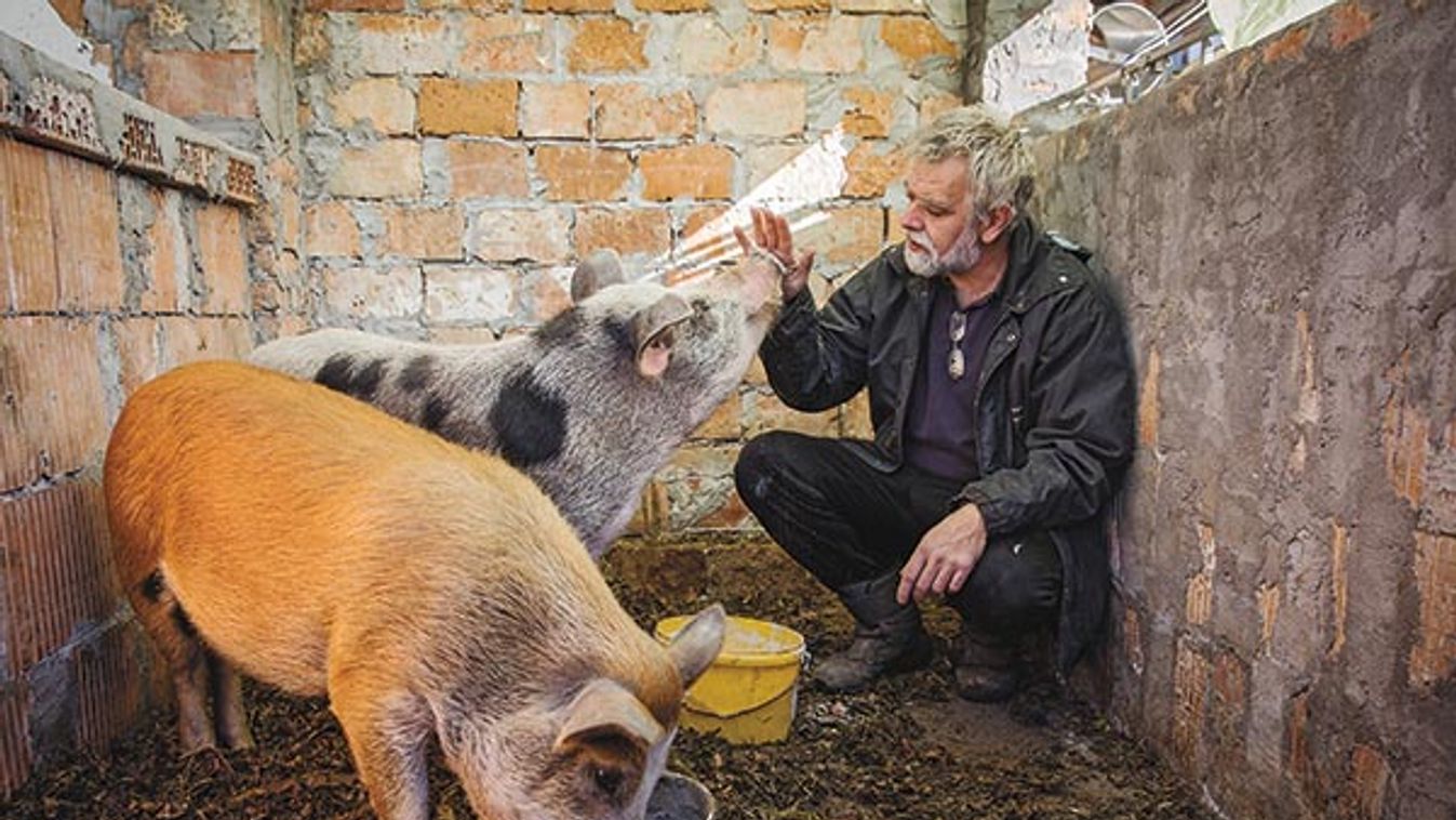 Év végén sincs teljes csend! Húsba vágó ügyeink a Szabad Föld Kertjében