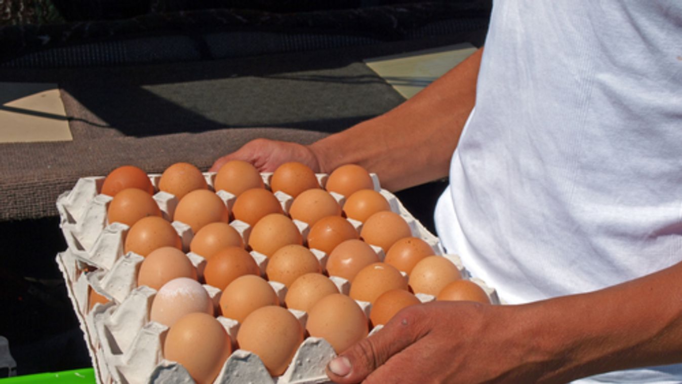 Krízis alakult ki a tojáspiacon