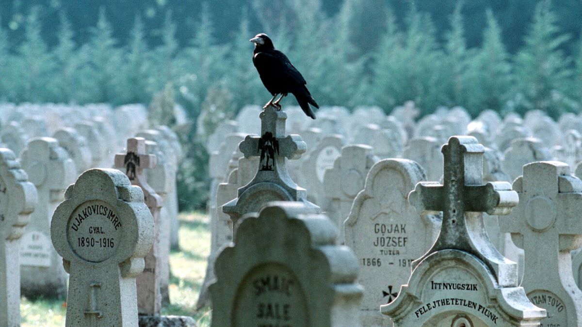 Második világháborús hősi halottakat exhumáltak Mogyoródon