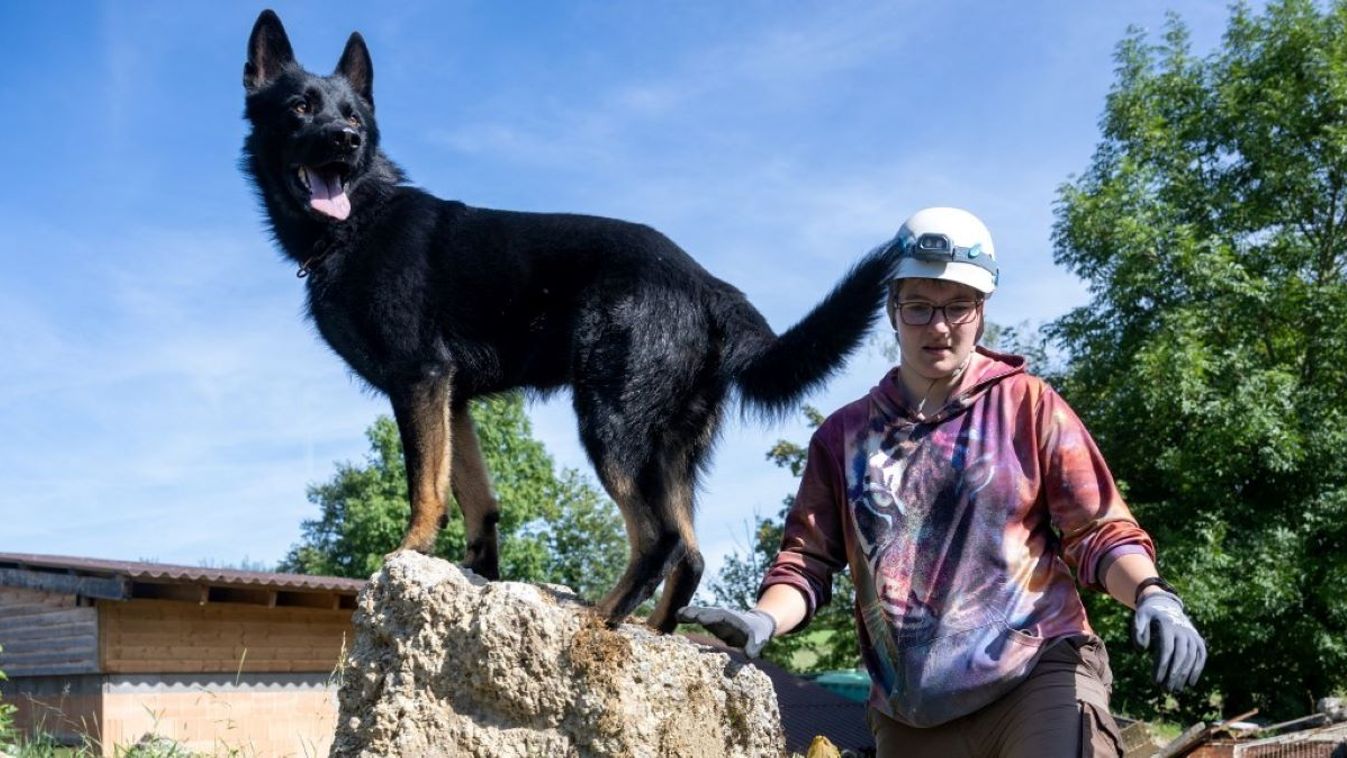 Dog handler Kim Freiburg searches a rubble area with her German shepherd Eyk at the national championship for rescue dogs.