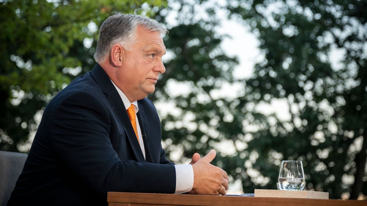 Orbán Viktor és az építőkockák