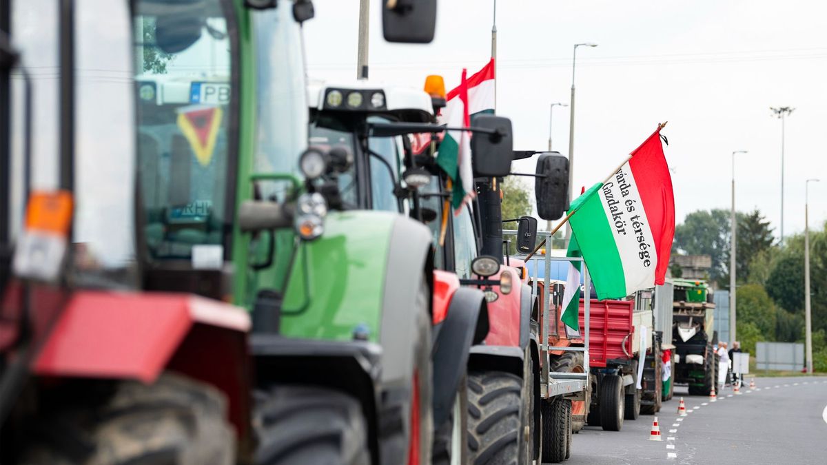 Brüsszel saját magát lőheti lábon az ukrán gabonaimport-vitában – elemző a Mandinernek