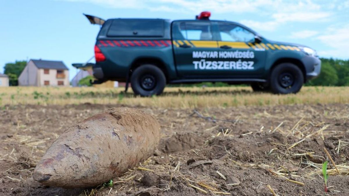 Hősi halált halt magyar katonák hozzátartozóit keresik