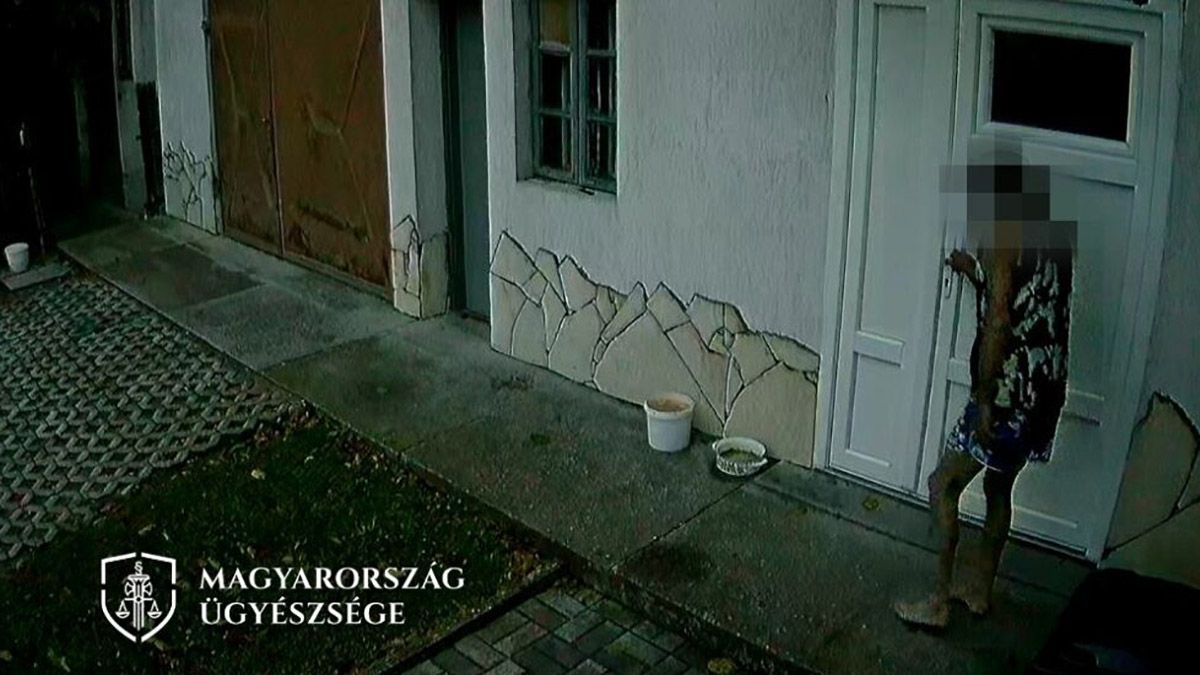 Italt akart lopni a betörő, de olyan részeg volt, hogy a pinceajtónál elaludt