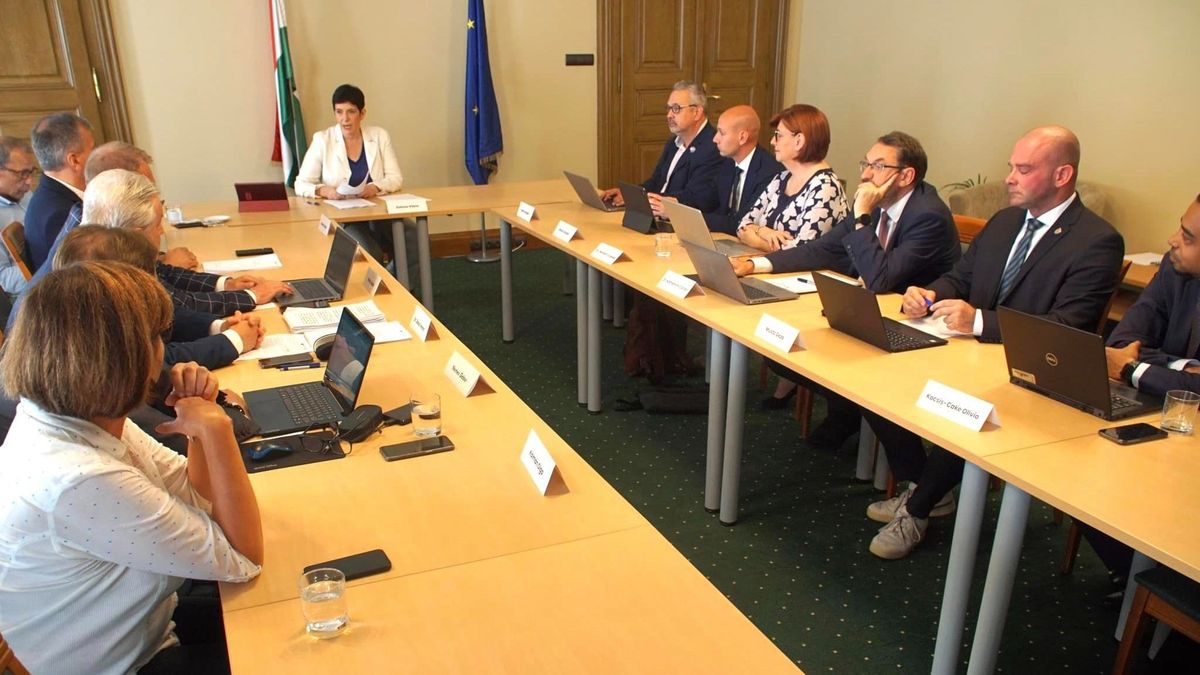 Egyéves a Dobrev-projekt: elemzőket és politikusokat kérdeztünk az árnyékkormány eddigi teljesítményéről