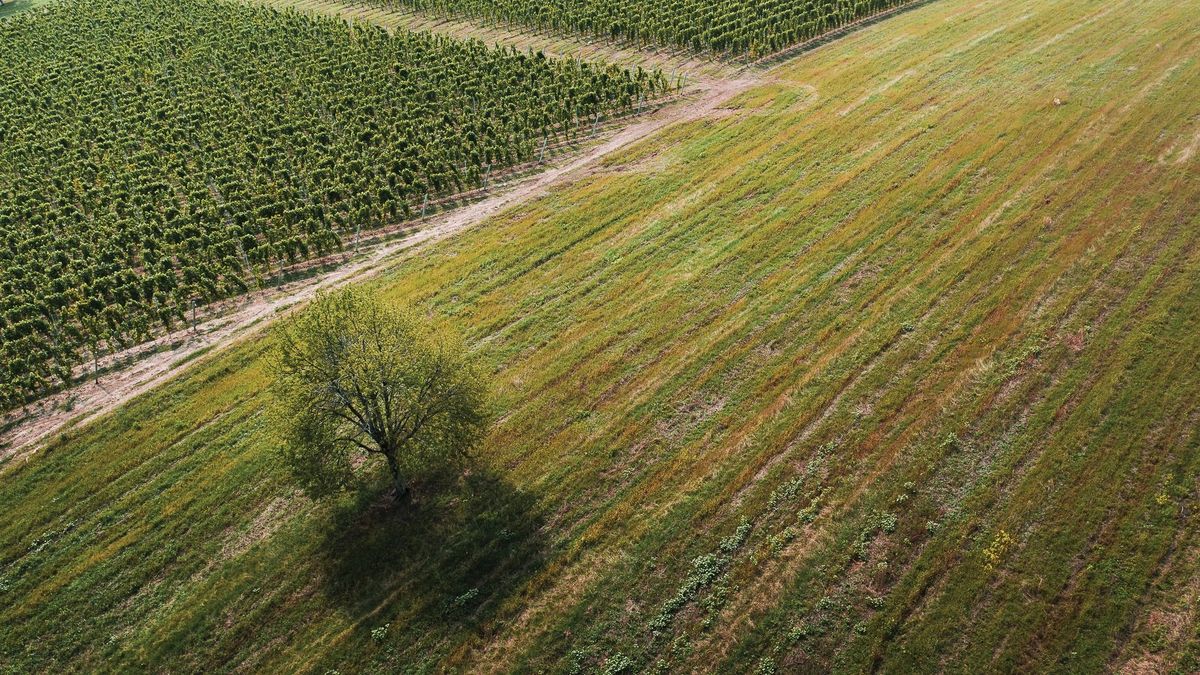 Kóstoltam egy útszéli vendéglőben