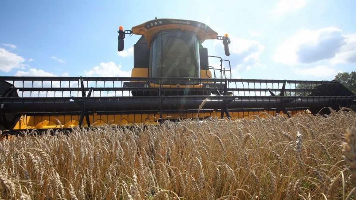 A lengyel agrárminiszter felszólította Ukrajnát, vonja vissza a WTO-hoz benyújtott panaszát