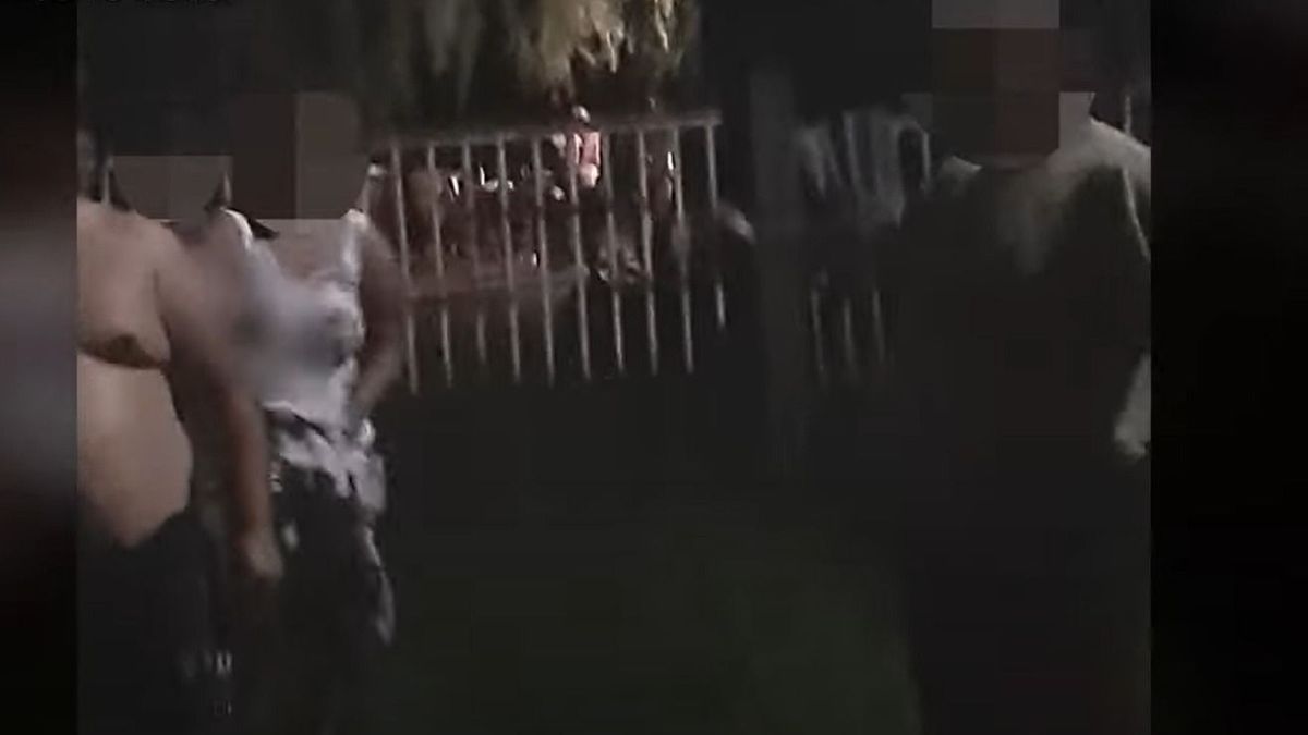 „Ha nem lenne itt a gyerekem, feldarabolnálak benneteket” – közölte a rendőrökkel egy szülinapot ünneplő szabolcsi asszony (videó)