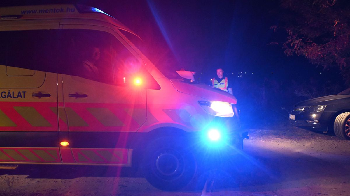 Kirándulót mentettek a tűzoltók Nagyharsánynál