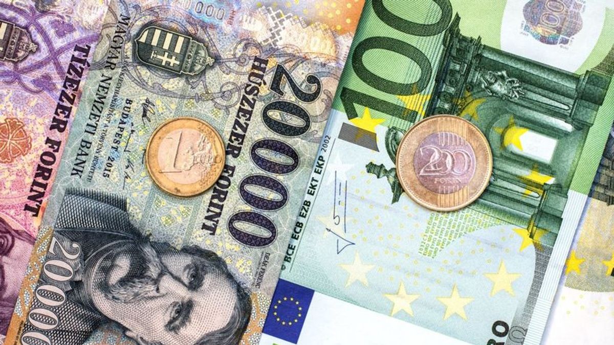 Hibát hibára halmoz a kormány