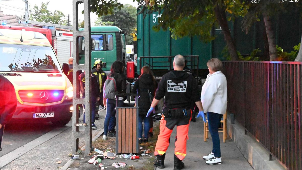 Megszólalt a halálos tragédiát okozó teherautó sofőrje