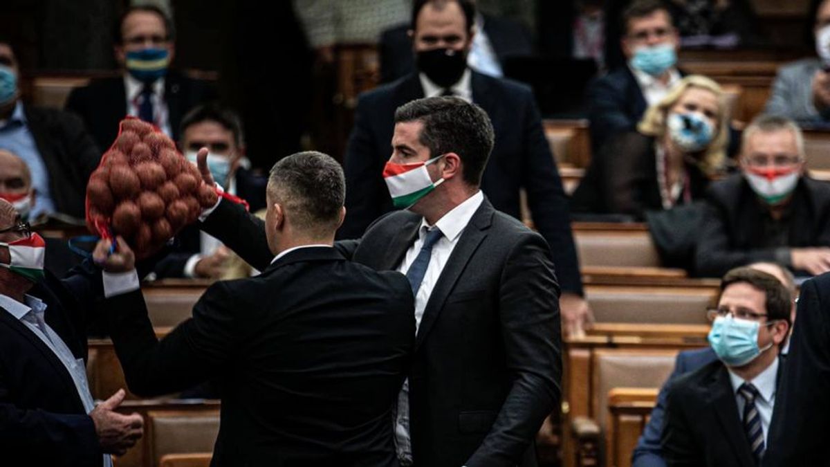 Jakab Péter három év után jött rá, hogy senkinek sem tetszett a krumpliszsákos akciója a Parlamentben (VIDEÓ)