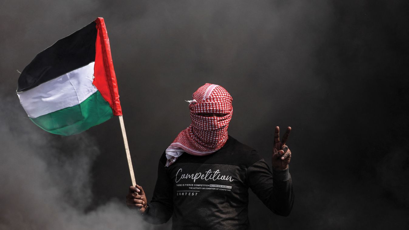 Palestine Israel Protest