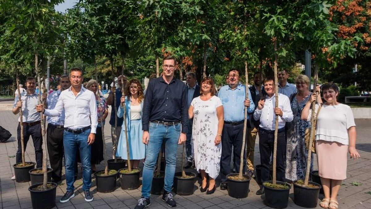 Jóval kevesebb fát ültettek Karácsonyék, mint amennyit megígértek