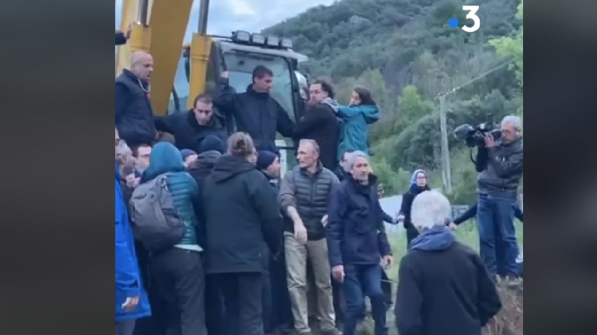 A klímaaktivista egy rendkívül kártékony, egyszersmind teljesen felesleges állatfaj