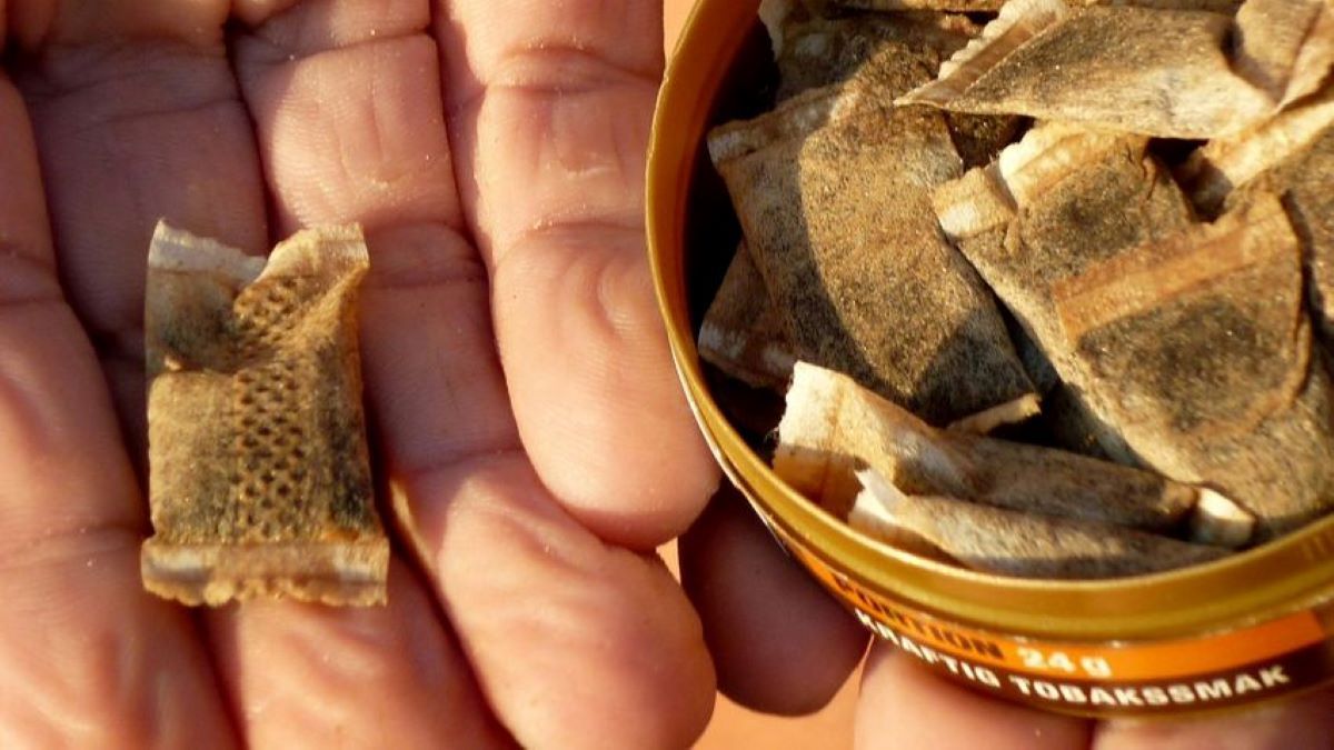 Egyre népszerűbb a fiatalok körében a snüssz