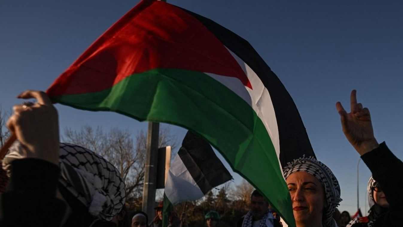 Thousands Gather At Pro-Palestinian Demonstration In Edmonton