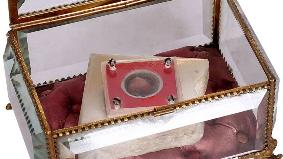 Budapesten árulják Bosco Szent János megszaporított mogyoróját