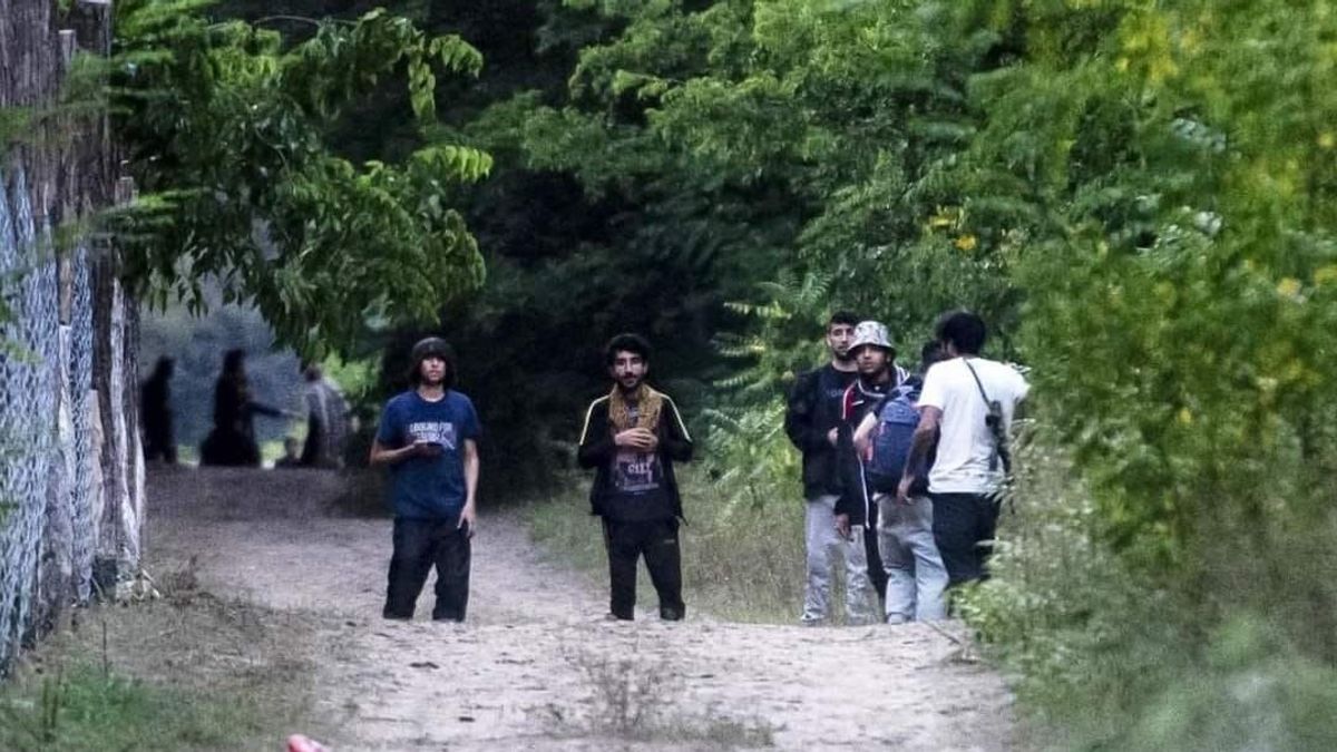 „Ez Szabadka, nem a gázai övezet” – fegyveres migránsok ostromolják a határt (VIDEÓ)