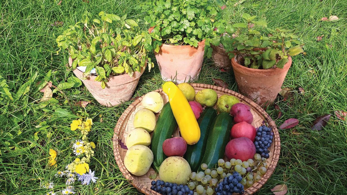 Városlakók exodusa