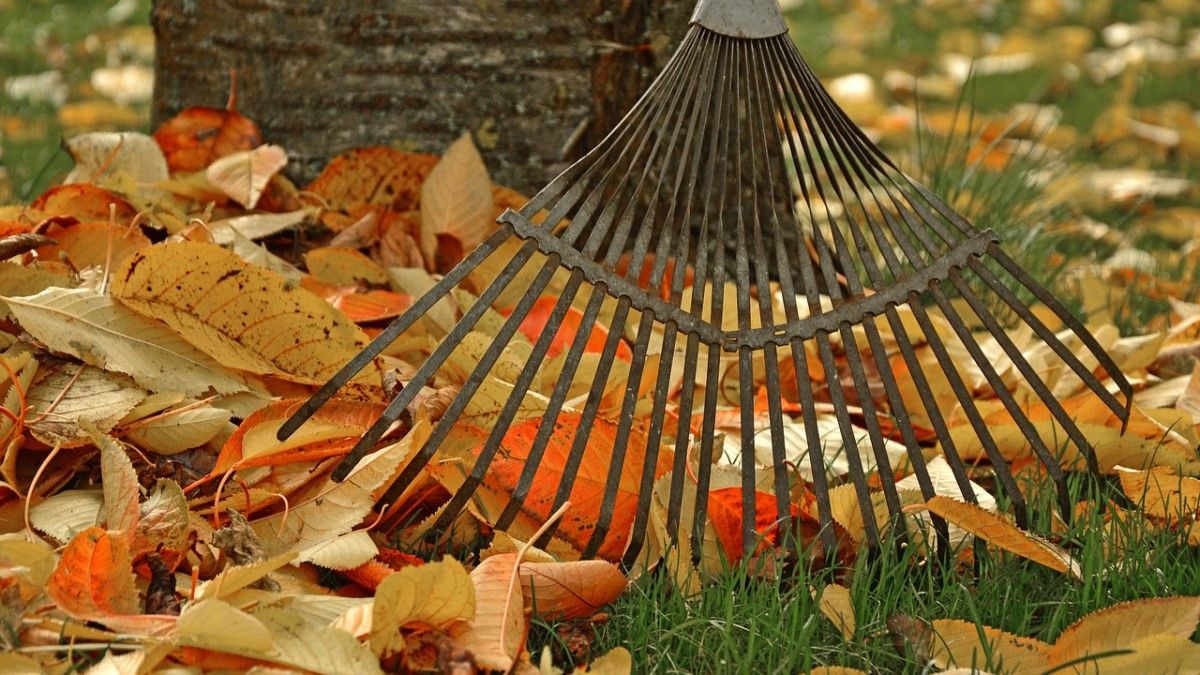 Elégessem vagy ne? – mi legyen a kerti avarral