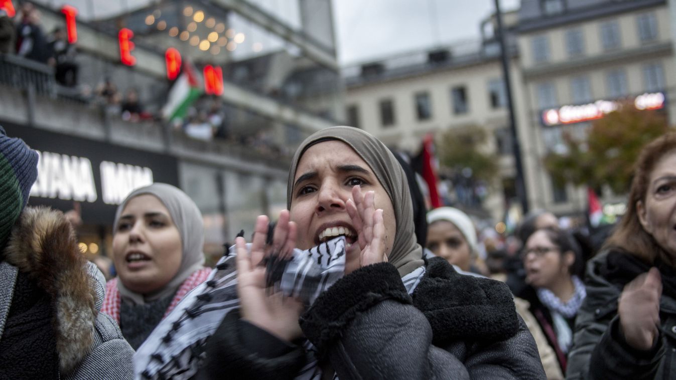 Pro-Palestinian demonstration in Sweden