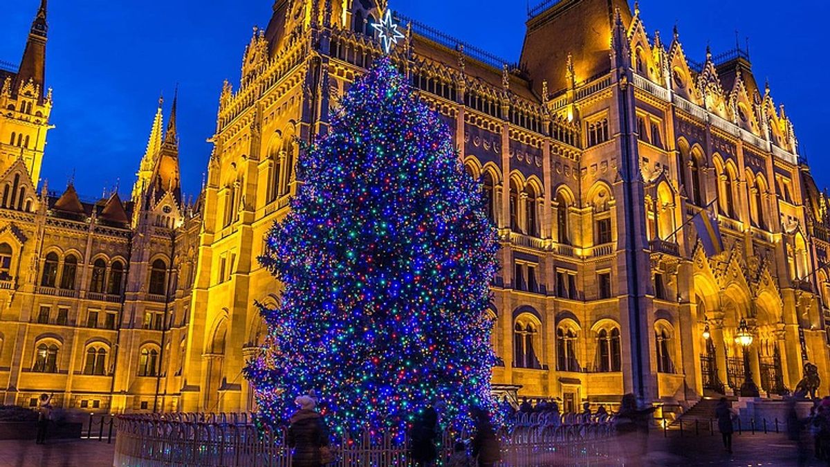 Hétfőn érkezik Magyarország karácsonyfája – Mandiner